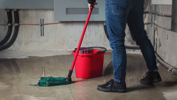 Best Flooded house restoration  in Bertram, TX