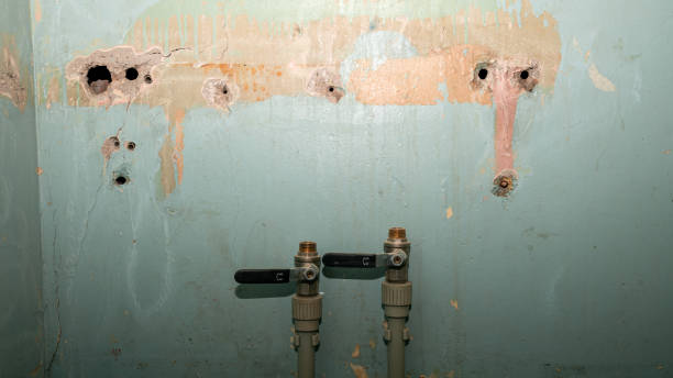 Best 24-hour water damage restoration  in Bertram, TX