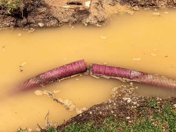 Best Water damage restoration near me  in Bertram, TX